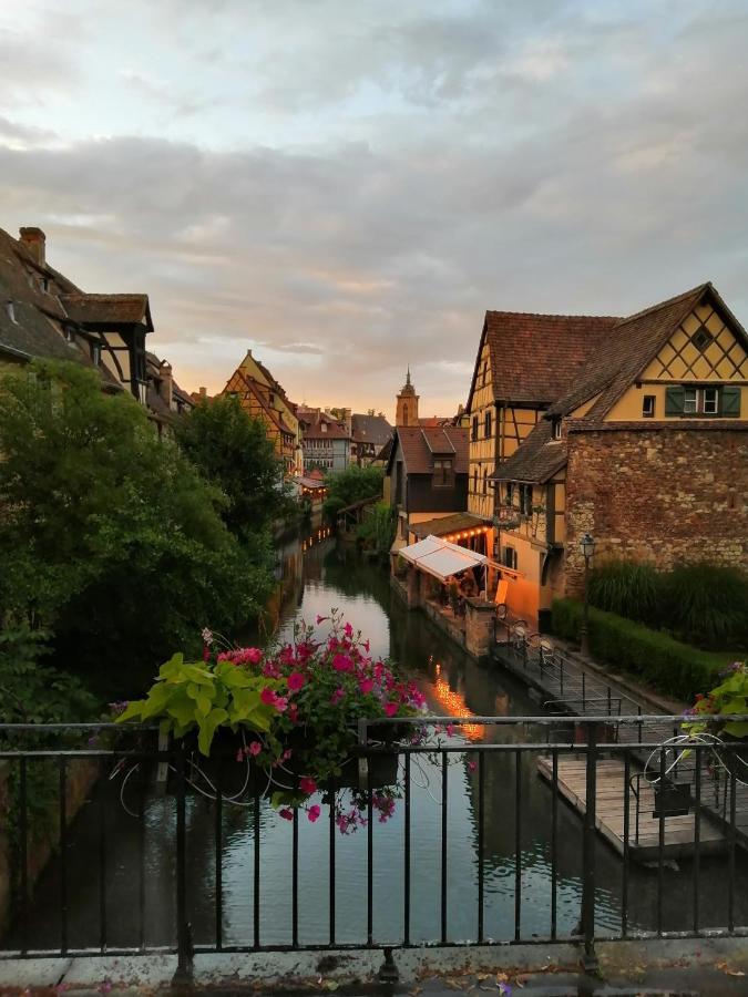Apartmán La Cour De Berthe Ouest Colmar Exteriér fotografie